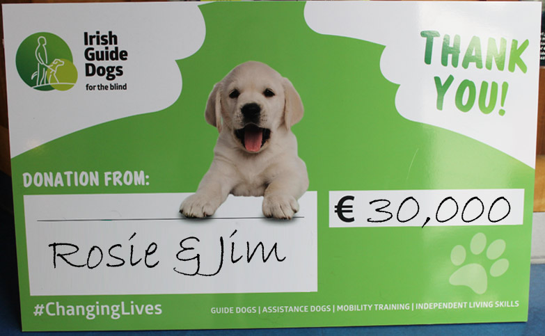 Irish Guide Dogs for the blind